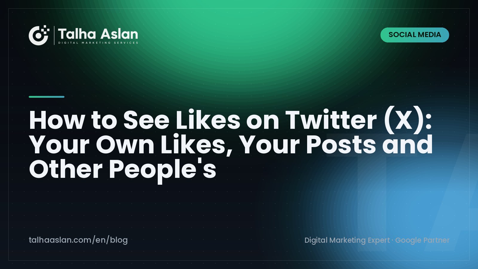 How to See Likes on Twitter (X): Your Own Likes, Your Posts and Other People's | Talha Aslan Blog