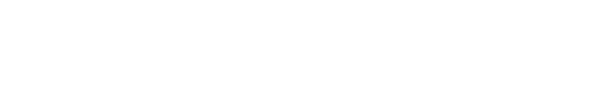 Talha Aslan, Digital-Marketing-Dienstleistungen