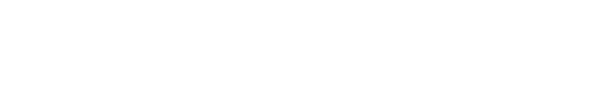 Talha Aslan, Digital Marketing Services