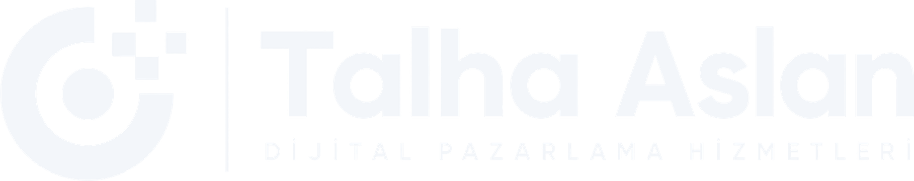Talha Aslan, Dijital Pazarlama Hizmetleri